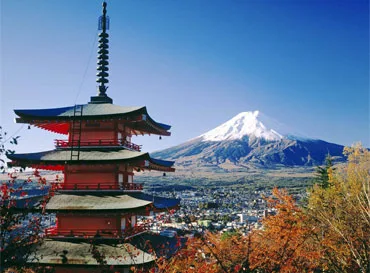 Trip Packages - 九游会