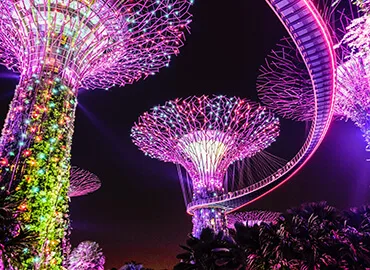 Trip Packages - 九游会