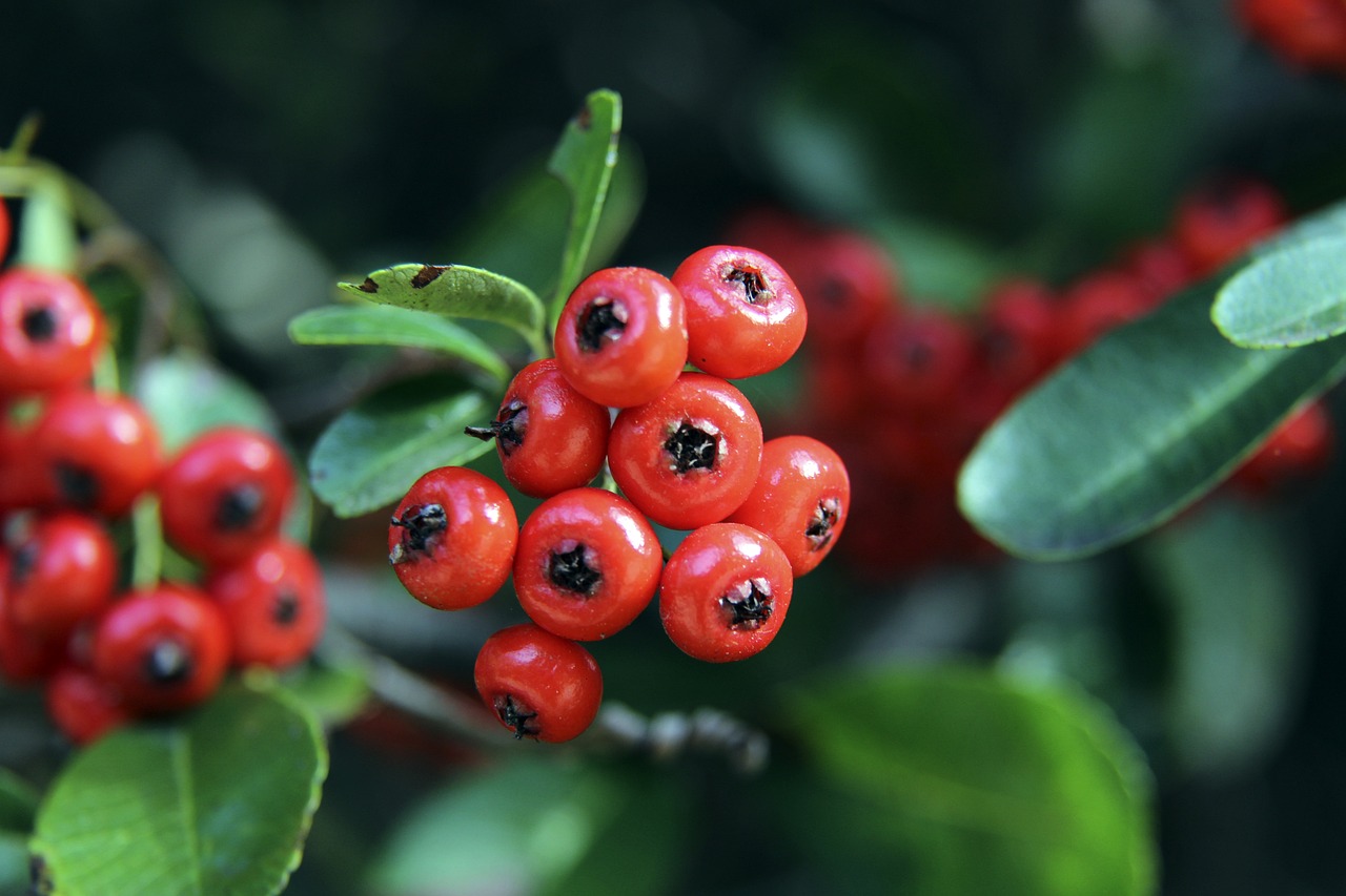 体彩大乐透 体彩大乐透