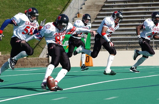 了冰球在城 了冰球在城