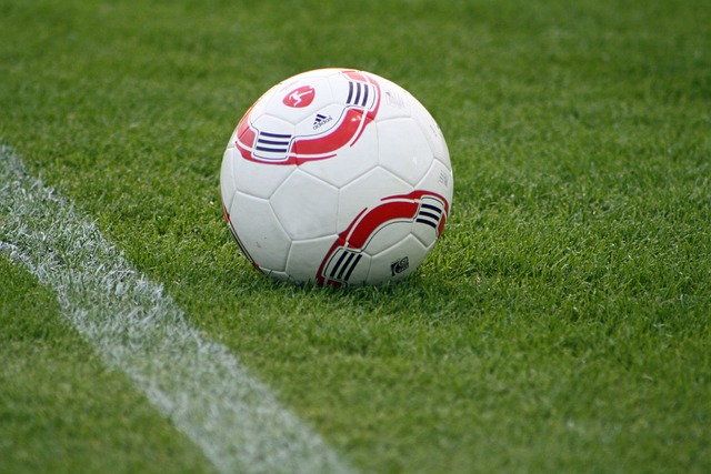 更是冰球运 更是冰球运