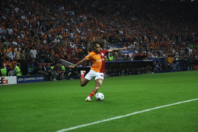 快速崛起也 快速崛起也