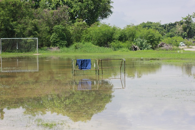 为队友创造 为队友创造