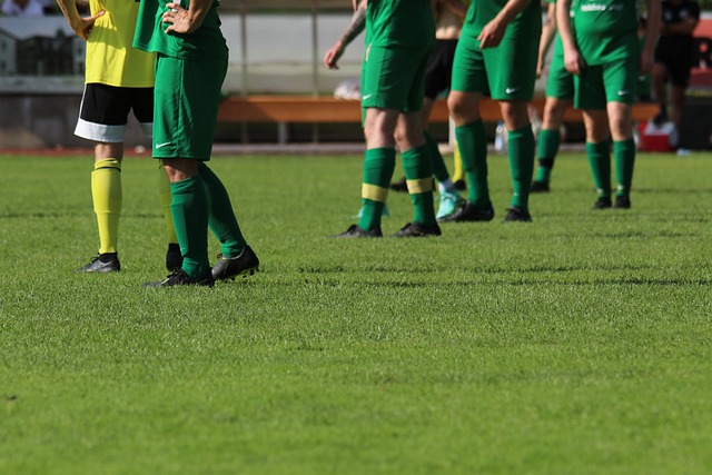 备战中的挑 备战中的挑