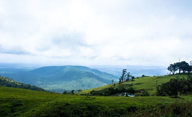 吸引更多游 吸引更多游
