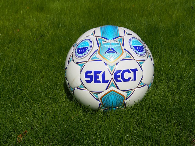 丽的辞藻而 丽的辞藻而